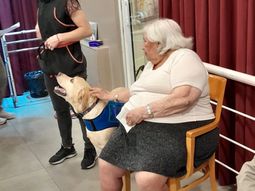 en que consiste la caninoterapia, el tratamiento que gana cada dia mas adeptos en que consiste la caninoterapia, el tratamiento que gana cada dia mas adeptos