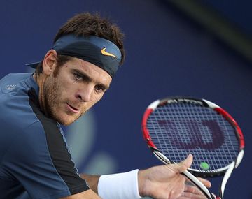 Del Potro venció a Nadal en el Madison Square Garden