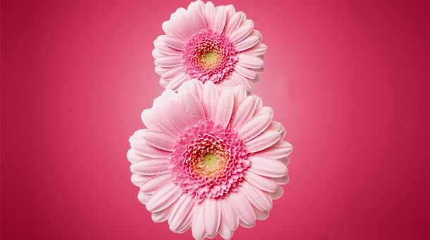 ¿Por qué hoy se conmemora el #DíadelaMujer?