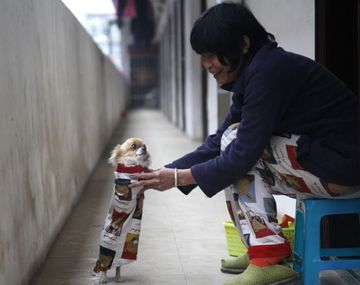 Una mujer le enseñó a caminar en dos patas a su perro