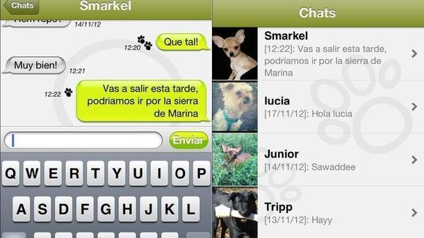 Crean una aplicación como WhatsApp, pero para perros