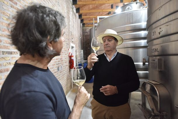 Se estrenó Vino Buenos Aires, el documental de la viticultura bonaerense