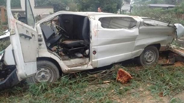 Un árbol gigante cayó sobre una camioneta y mató a un nene - Crédito: La Gaceta de Tucumán