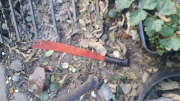 El asesino del machete quiso matar a Cristina Kirchner y Alberto Fernández