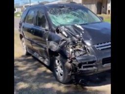 Pergamino: un conocido chef salvó su vida luego de chocar con un caballo en la ruta