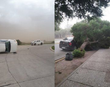 Impresionante temporal de viento dejó destrozos en La Toma