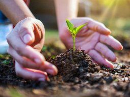 Advierten que la Argentina comenzará a generar deuda ambiental a partir del próximo sábado