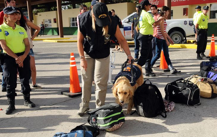 Operativo Sol: hay veintiún  detenidos por allanamientos