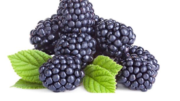 Este alimento puede consumirse en diferentes comidas. Este alimento puede consumirse en diferentes comidas.