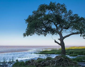 La reserva natural a 2 horas de la Ciudad ideal para cambiar el aire y conocer el fin de semana