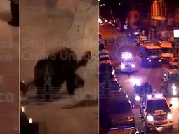 Una pelea a la salida de un boliche en Bahía Blanca fue captada por una de las cámaras de seguridad. Una pelea a la salida de un boliche en Bahía Blanca fue captada por una de las cámaras de seguridad.