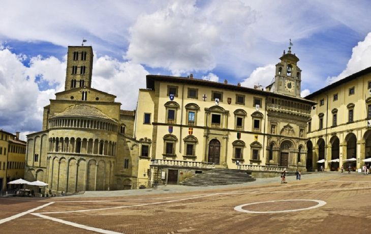 Alarma por un gato que murió tras morder a su dueña y estaba infectado con un rarísimo virus