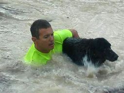 Foto: Matías Alarcón. Foto: Matías Alarcón.