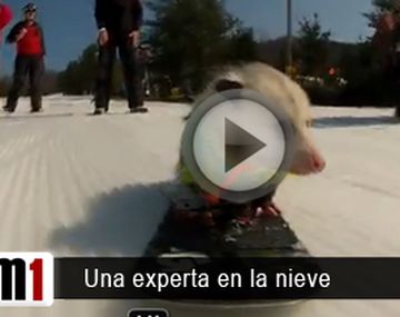 Una-experta-en-la-nieve
