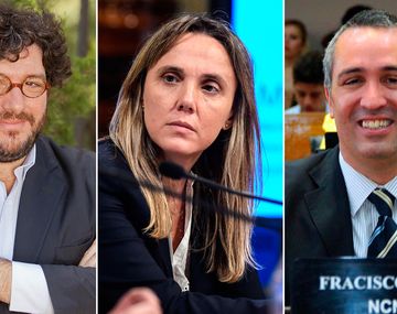 Grieta en el macrismo y cruce en redes por el voto del aborto en el Senado