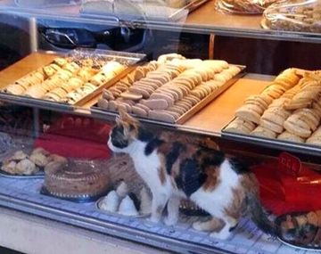 Un cliente fotografia al gato entre la mercaderia