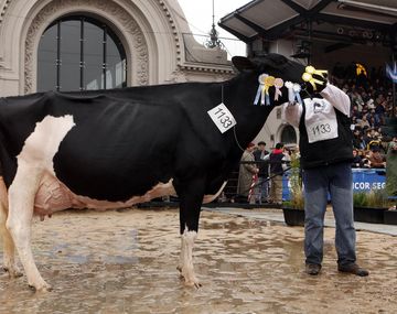 La Rural pierde un clásico: la leche