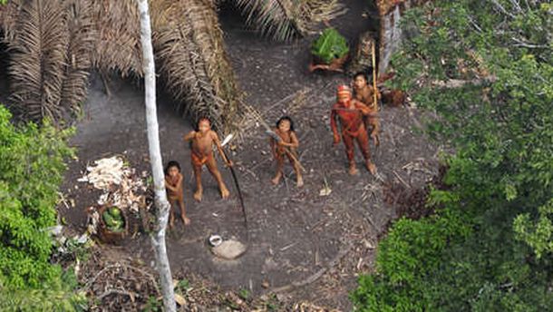 Tribu indígena