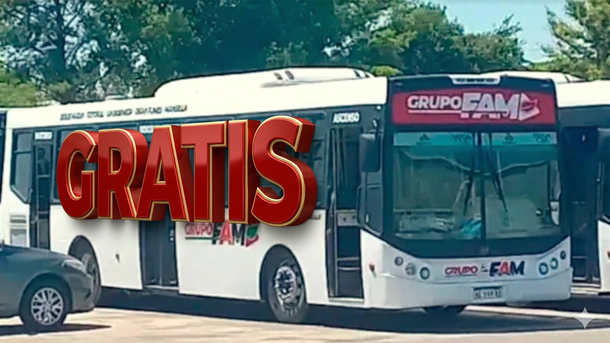 Colectivos gratis: dónde funcionarán sin costo y hasta cuándo rige la medida