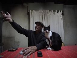 Juan Carlos Cerrudo dice haber visto un león suelto en La Plata.