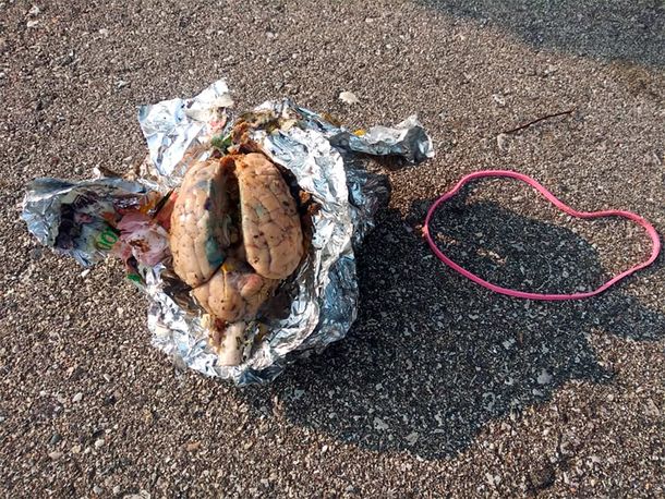 Macabro hallazgo: encontró un cerebro envuelto en papel aluminio en una playa