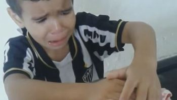 ¿es vegano? un nene le pide por favor a la madre que no corte el pollo ¿es vegano? un nene le pide por favor a la madre que no corte el pollo