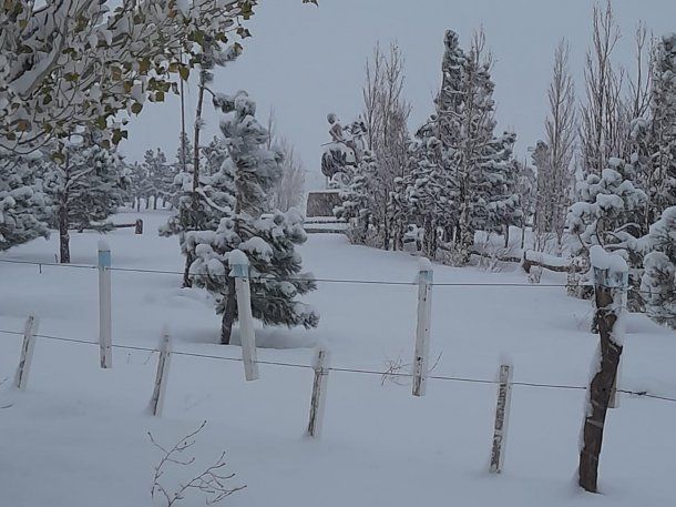 Ola polar: alertas por nevadas y vientos de 100 km/h para 5 provincias