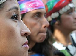 mendoza niega que mapuches sean pueblo originario argentino mendoza niega que mapuches sean pueblo originario argentino