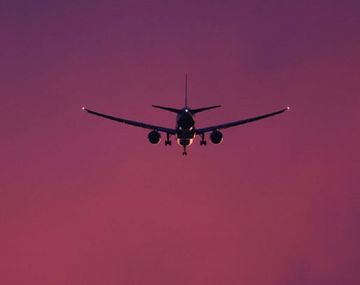 Dejó solos a sus dos hijos durante tres semanas para viajar