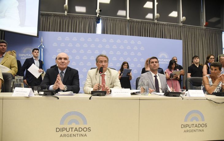 Diputados: el Gobierno consiguió las firmas para tratar la suspensión de las PASO