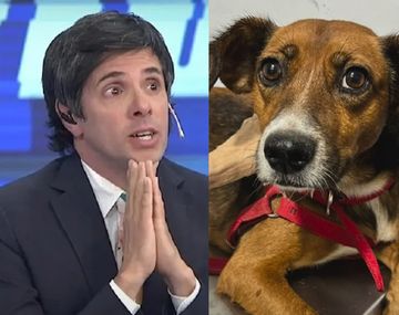 Robertito Funes Ugarte adoptó a una perra en medio de un móvil: Nuestras vidas se cruzaron