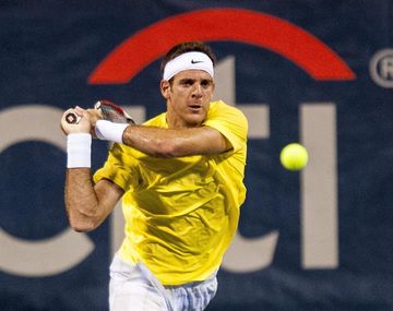 Del Potro ya está en los cuartos del Abierto de Washington