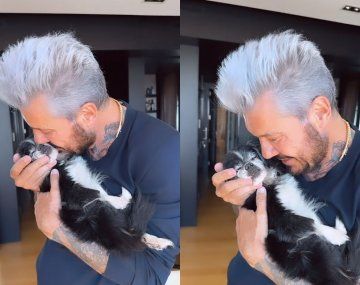 La conmovedora despedida de Marcelo Tinelli a su mascota