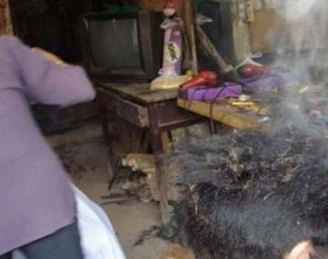 Le quemaron el pelo por no soplar durante un examen - Imagen ilustrativa