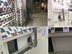 Boqueteros asaltaron una casa de celulares en Recoleta Boqueteros asaltaron una casa de celulares en Recoleta