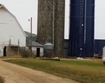 Roban semen de toro por valor de U$S70.000 