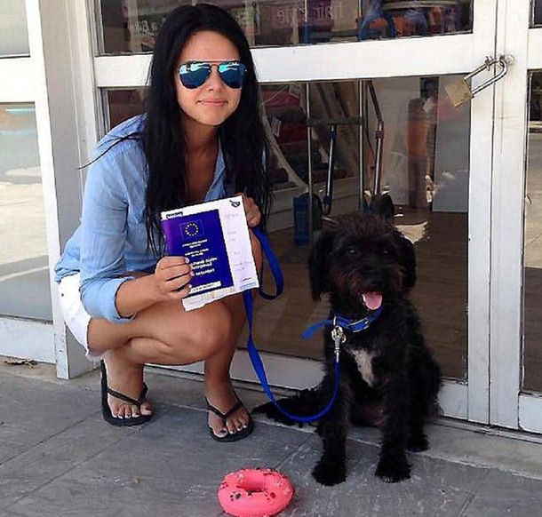 Adoptó a la perra que la defendió cuando dos hombres la acosaban en la playa