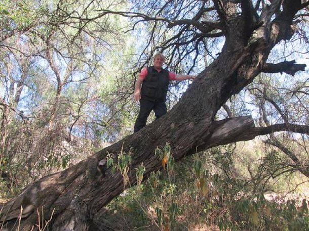 La Fundación Alameda denunció a Stiusso por enriquecimiento ilícito