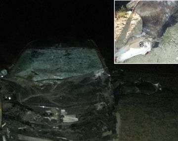 Crédito: Rodolfo Ramírez/lmneuquen.com