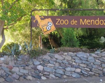 Zoo de Mendoza rematará al 75% de los animales