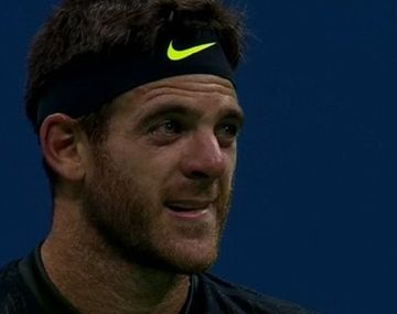 El aliento del público hizo quebrar a Del Potro