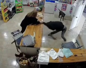 Entró a robar a un negocio de Santa Fe y terminó desnuda de la cintura para arriba