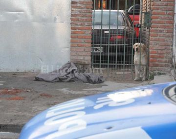 Horror en Rosario: hallan una bebe muerta cuando era arrastrada por un perro