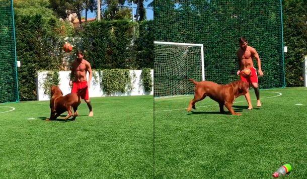 Marcale un gol, papi: Messi bailó a su perro y Thiago fue su mejor hincha