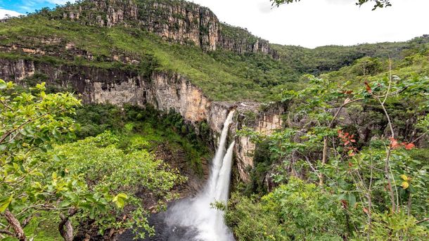 Este imponente destino es valorado en todo el mundo por su extensa vegetación y cataratas, que maravillan a cientos de turistas. Este imponente destino es valorado en todo el mundo por su extensa vegetación y cataratas, que maravillan a cientos de turistas.