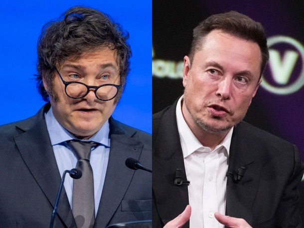 Desde Alemania advierten sobre el daño ambiental que la empresa de Elon Musk podría causar en Argentina