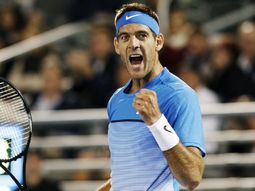 Delray Beach será el primer torneo de Del Potro en este 2017 Delray Beach será el primer torneo de Del Potro en este 2017