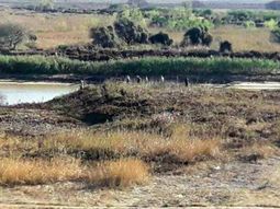 Detuvieron a cinco cazadores por provocar un incendio en el delta del Paraná