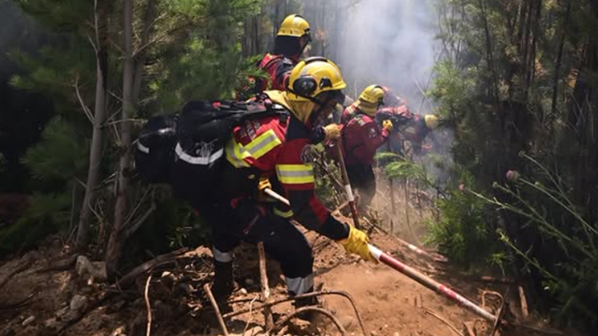 Imagen noticia completa