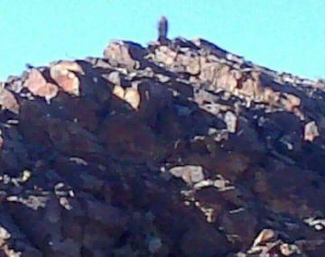 Difundieron la imagen de una supuesta virgen en un cerro de San Juan